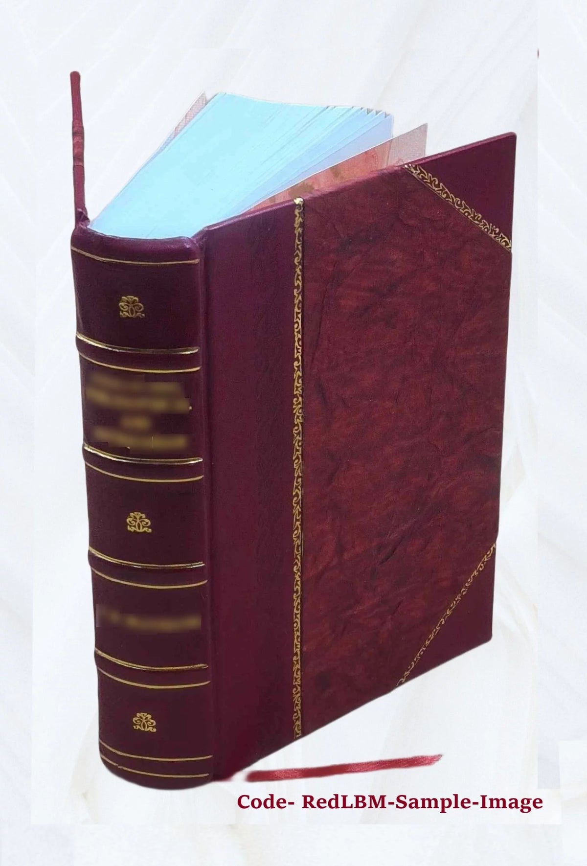 Leather Bound Book C959