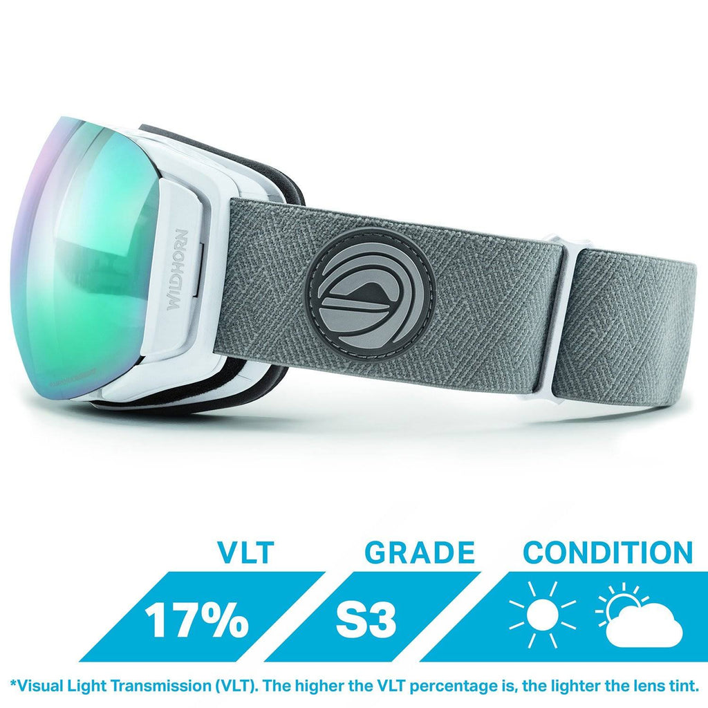 Ski/Snowboard Goggles F539
