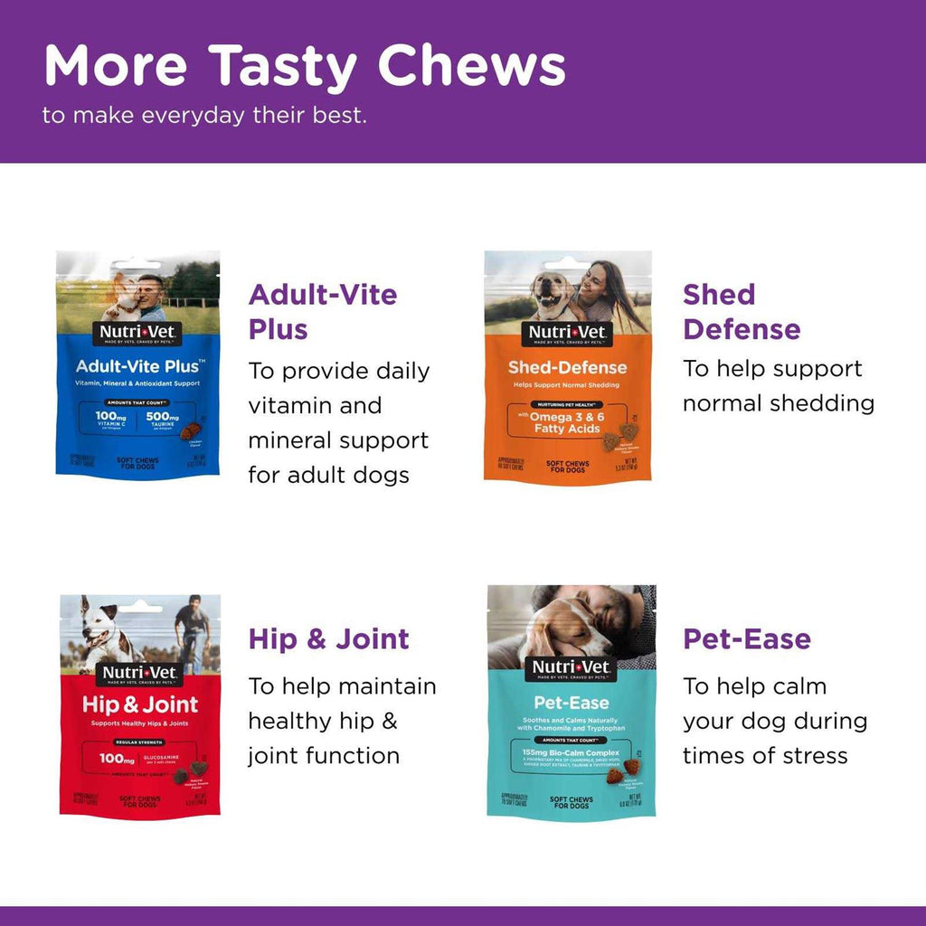 Pre and Probiotic Soft Chews for Dogs K4744