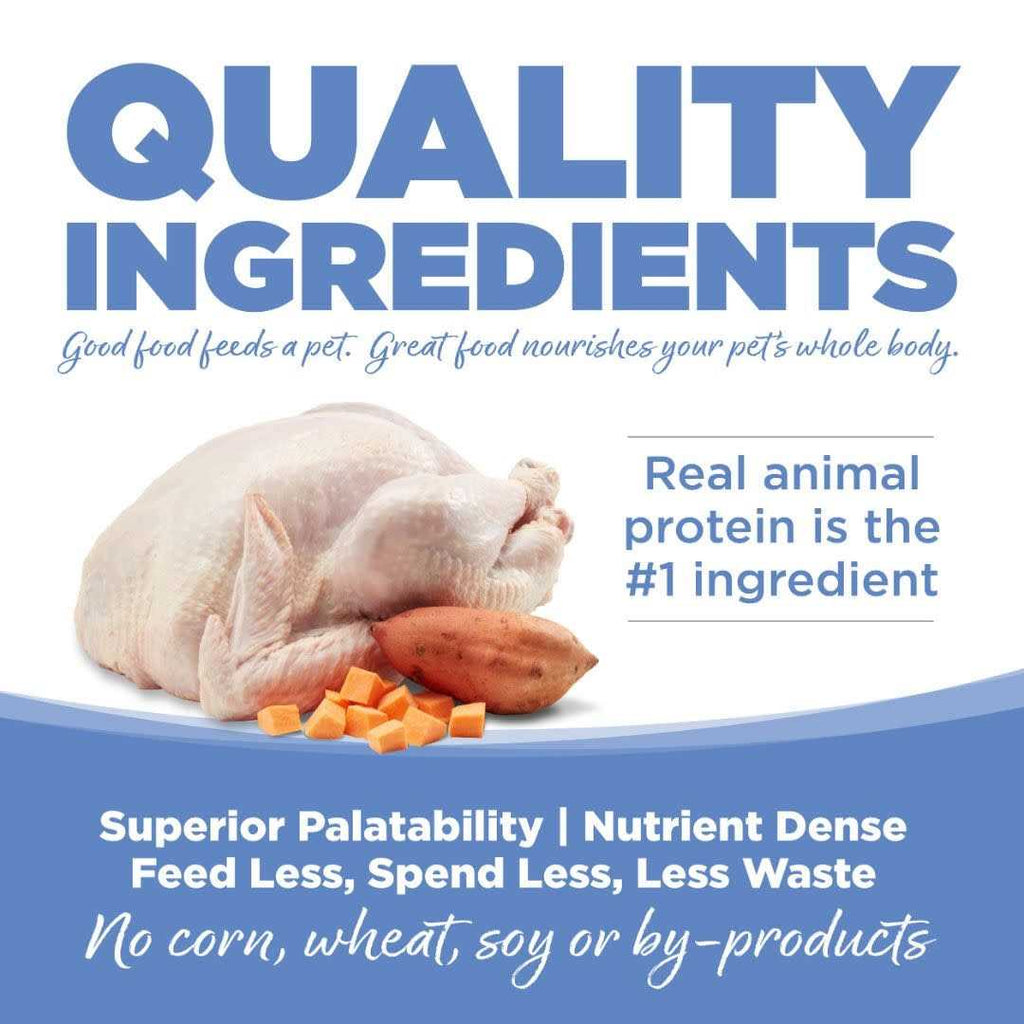 Grain Free Turkey & Sweet Potato Dog Food C824