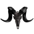 Genuine Ram Skull with Horns O153