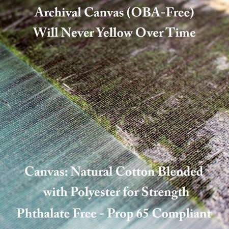 Canvas Art B738863