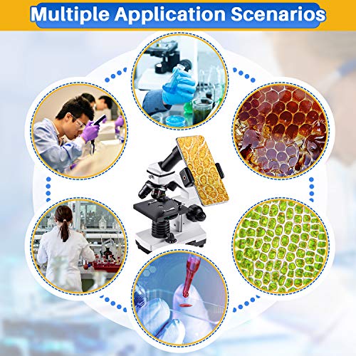 100X-2000X Compound Microscope with Slides D207685