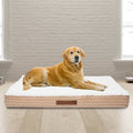 Extra Large Orthopedic Pet Bed J372544