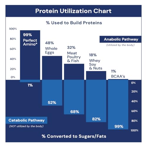 PerfectAmino Powder Mixed Berry 120 Servings 8 Essential Amino Acids Supplement T7753