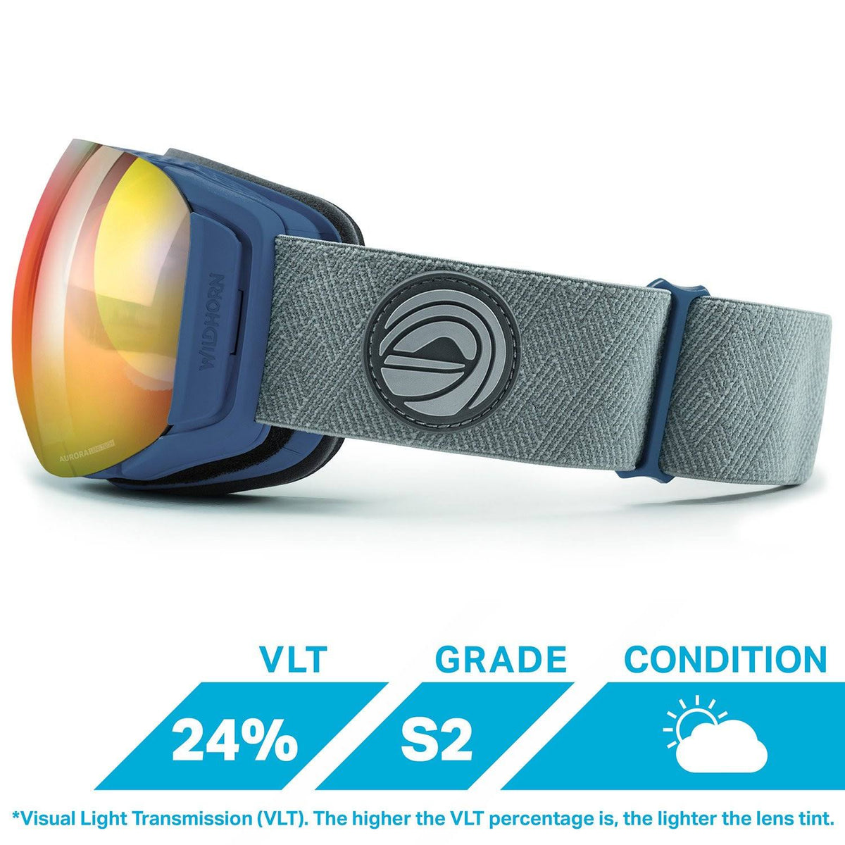 Ski/Snowboard Goggles F539