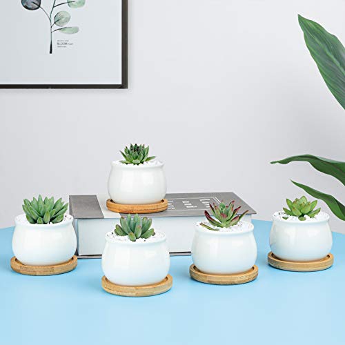 White Ceramic Mini Succulent Pots with Bamboo Trays Set of 6 S24456