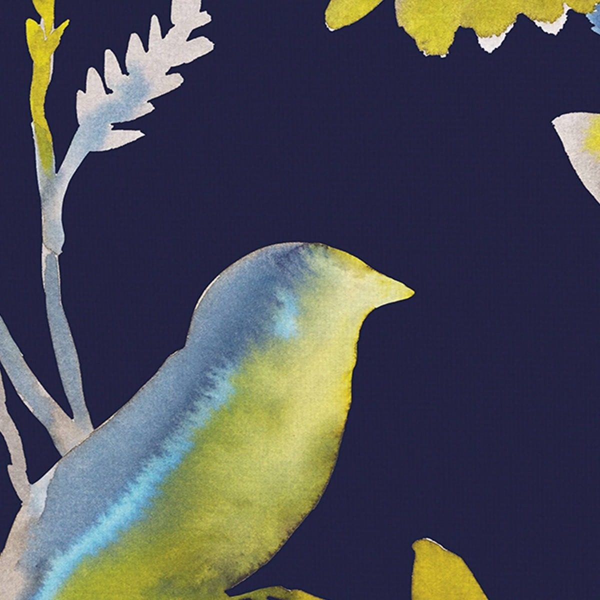 Birds and Feathers Canvas Art Set of II 16 inch x 20 inch J945