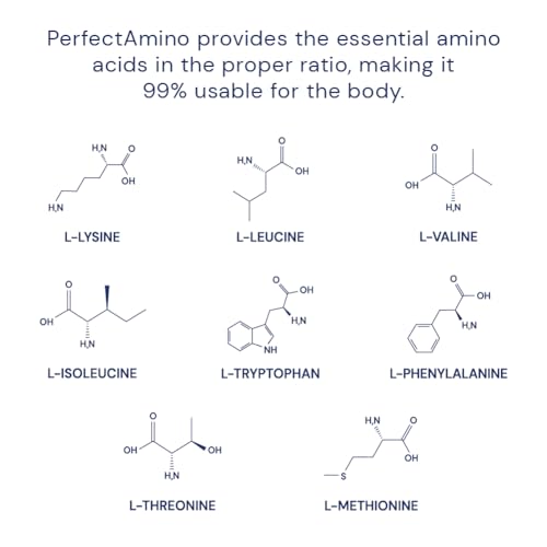 PerfectAmino Powder Mixed Berry 120 Servings 8 Essential Amino Acids Supplement T7753