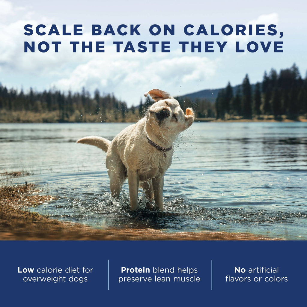 28 lb Chicken Meal Salmon Meal Barley Formula Dog Food Y439928