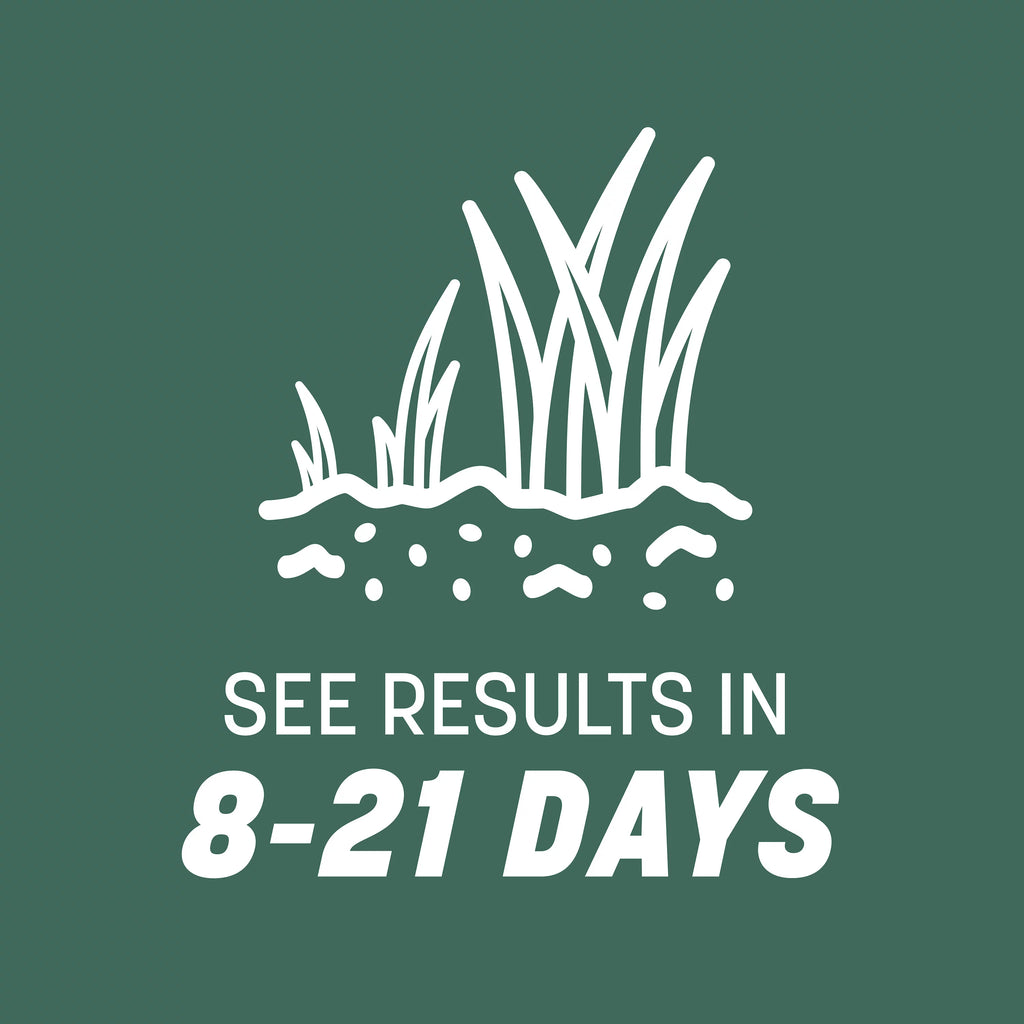 Kentucky 31 Tall Fescue Grass Seed, 20 lb. P5502