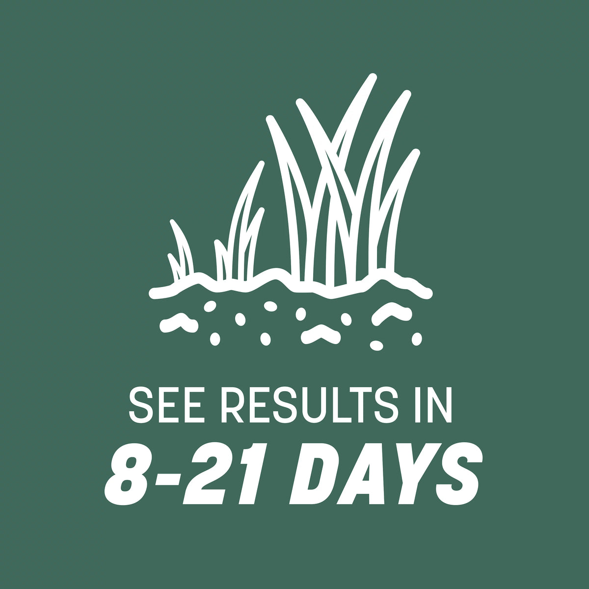 Kentucky 31 Tall Fescue Grass Seed, 20 lb. P5502