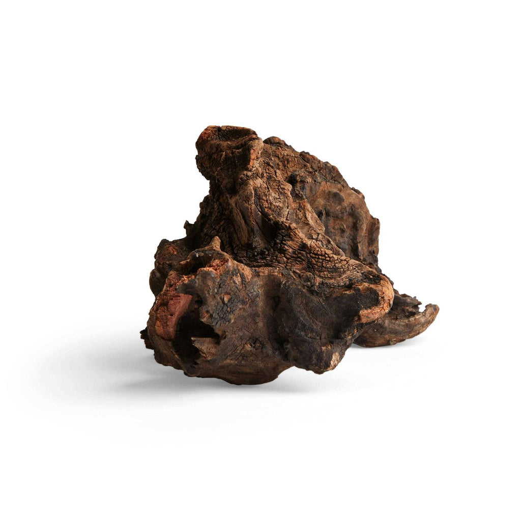 Driftwood E206