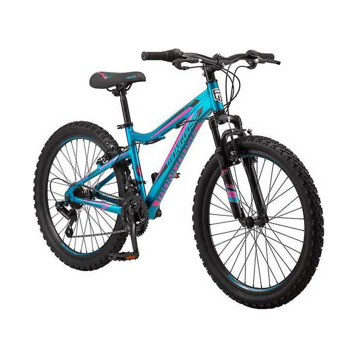 24 in. 21 Speed Mountain Bicycle V580124