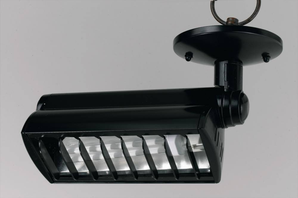 26 Watts Fluorescent Directional Spot Light White Q256