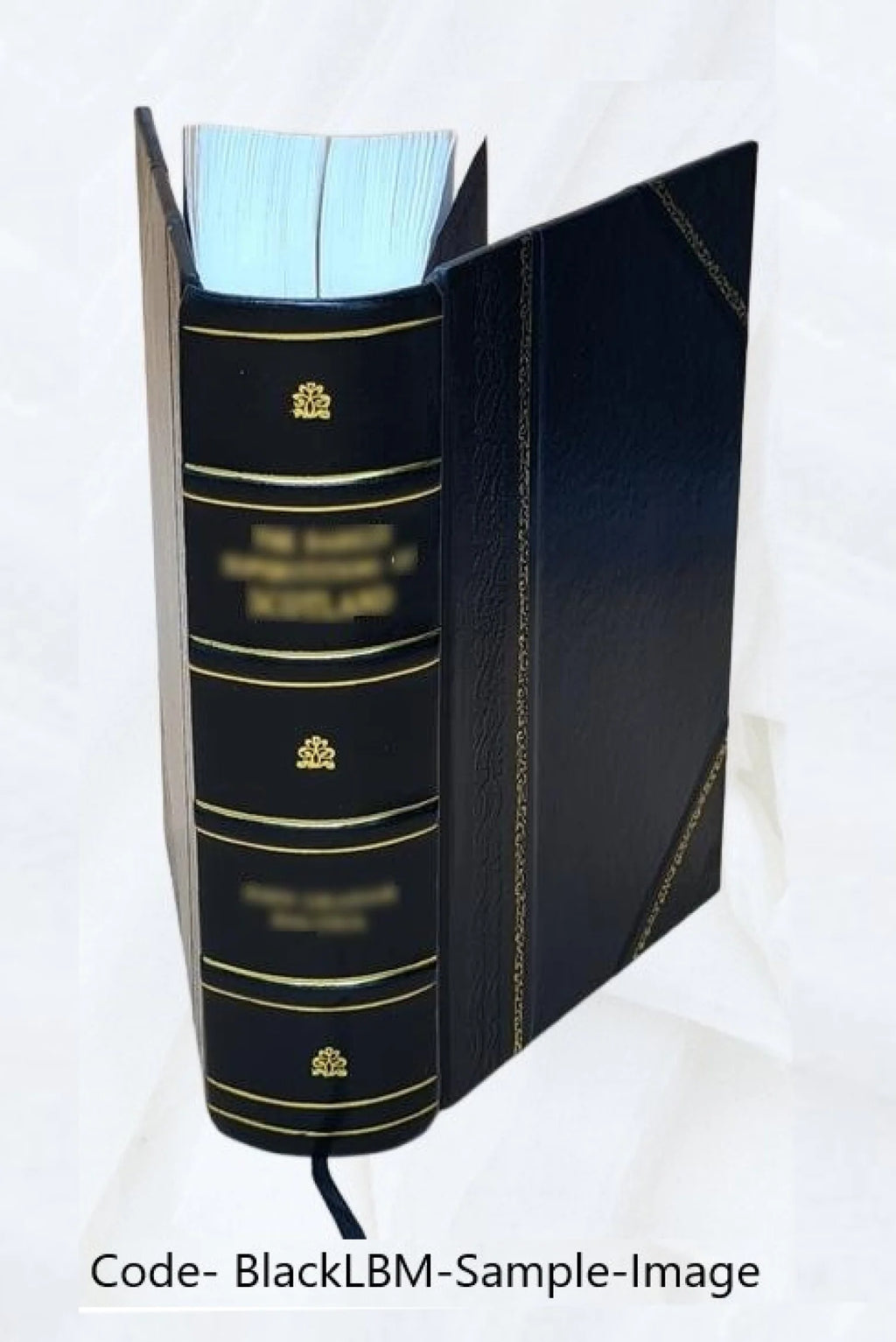 Leather Bound Book I259488