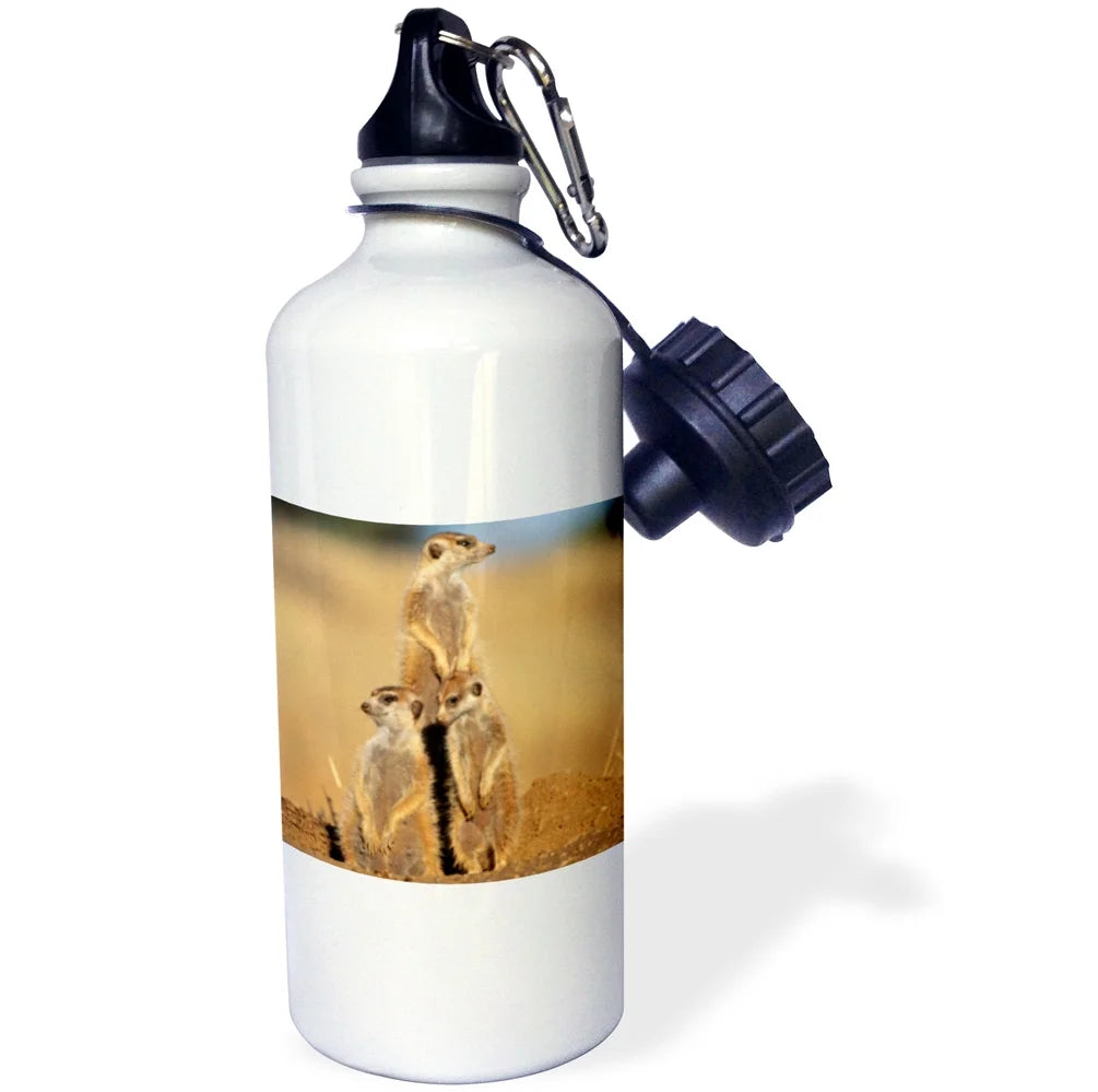 21-ounce Water Bottle Y580