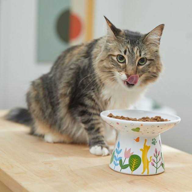 Ceramic Elevated Cat Bowl E7696