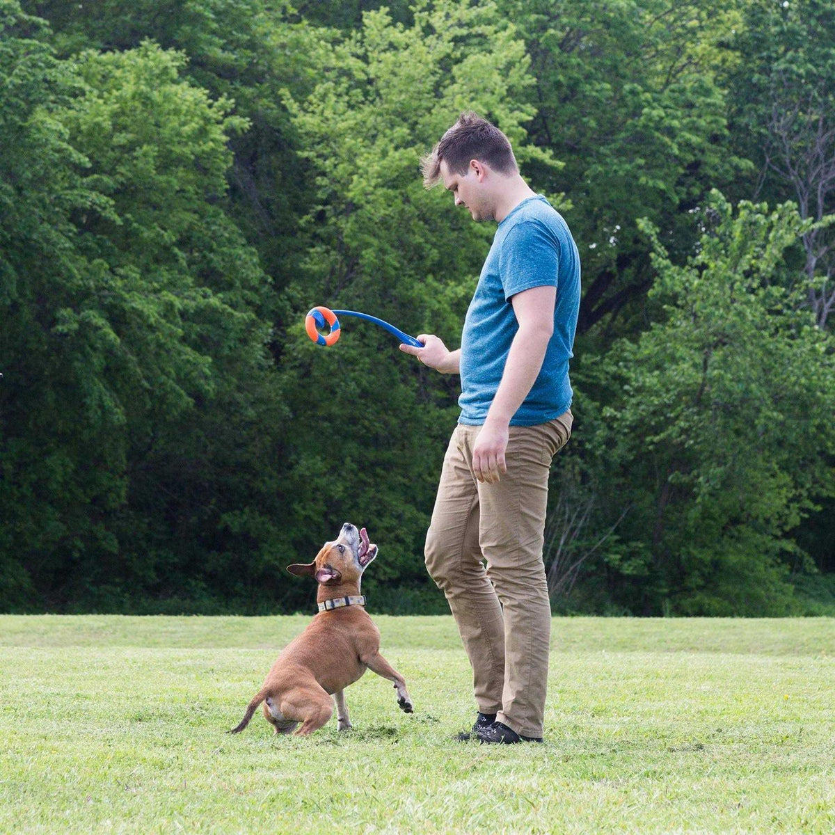 RingChaser Pet Supplies Z480