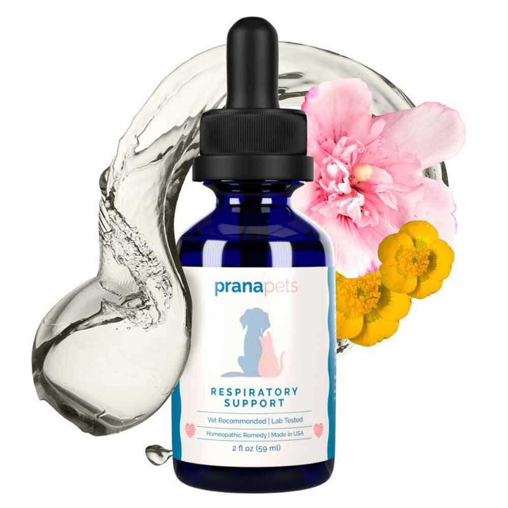 Respiratory Support Supplement for Dogs & Cats M744629