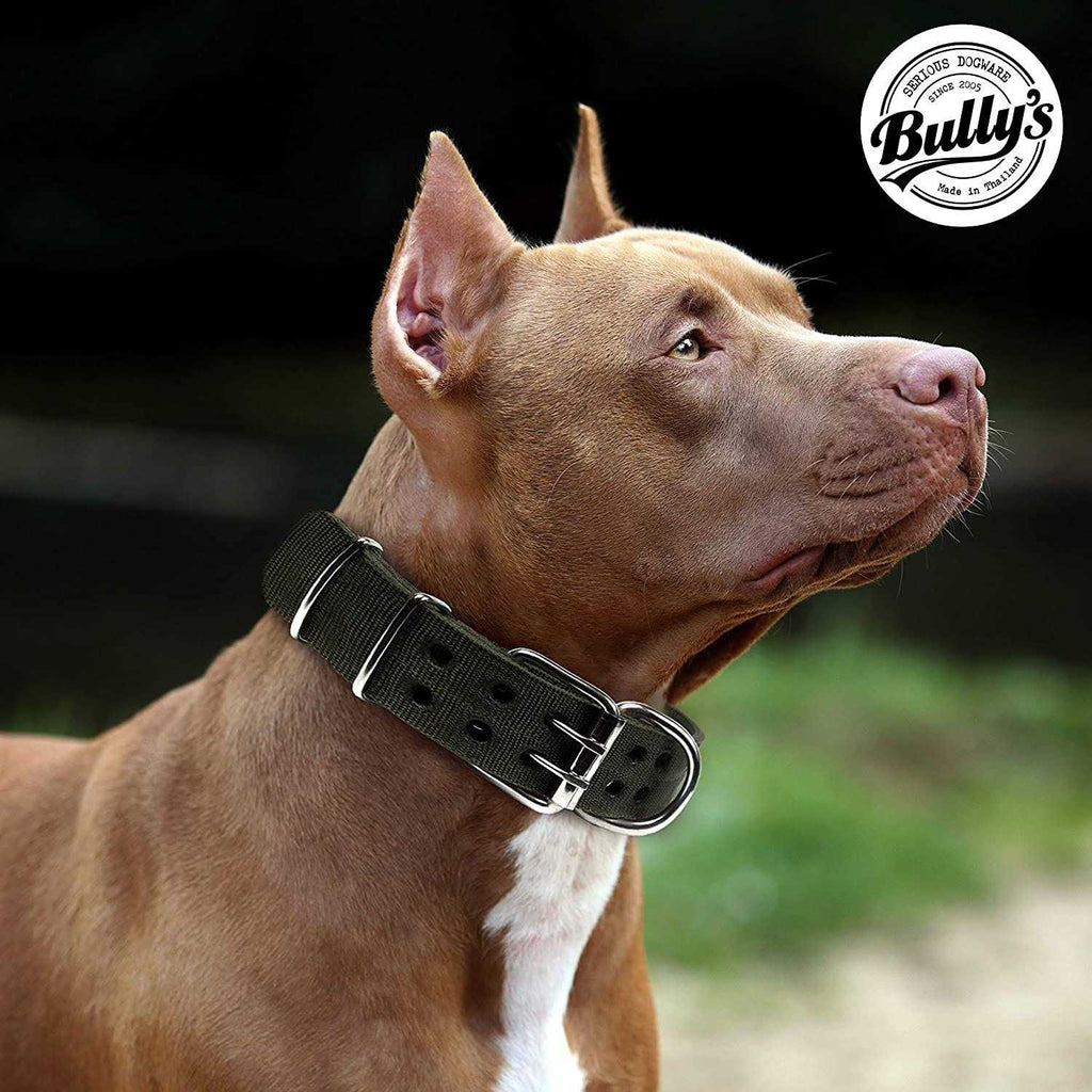 Dog Collar for Large Dogs J12670