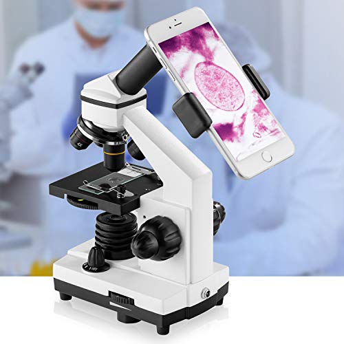 100X-2000X Compound Microscope with Slides D207685