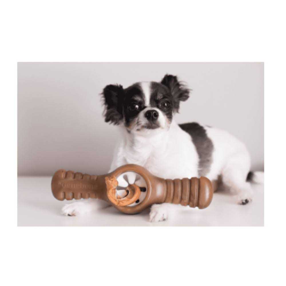 Bacon Dog Chew Toy B18694