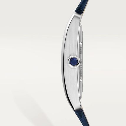 Blue 44mm Tank R518453