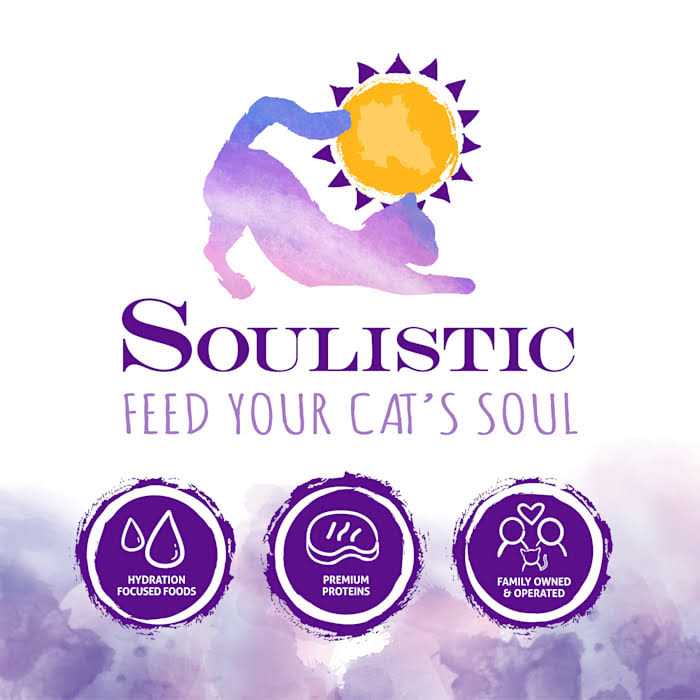 Wet Cat Food Variety Pack L55001