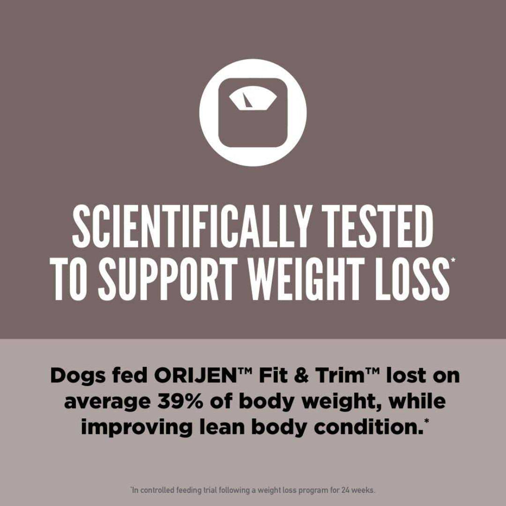 Dry Dog Food T397137