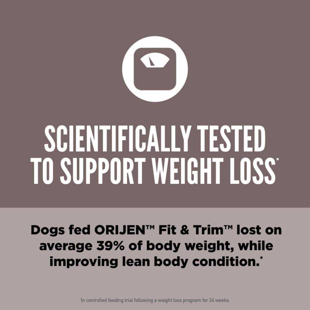 Dry Dog Food T397137