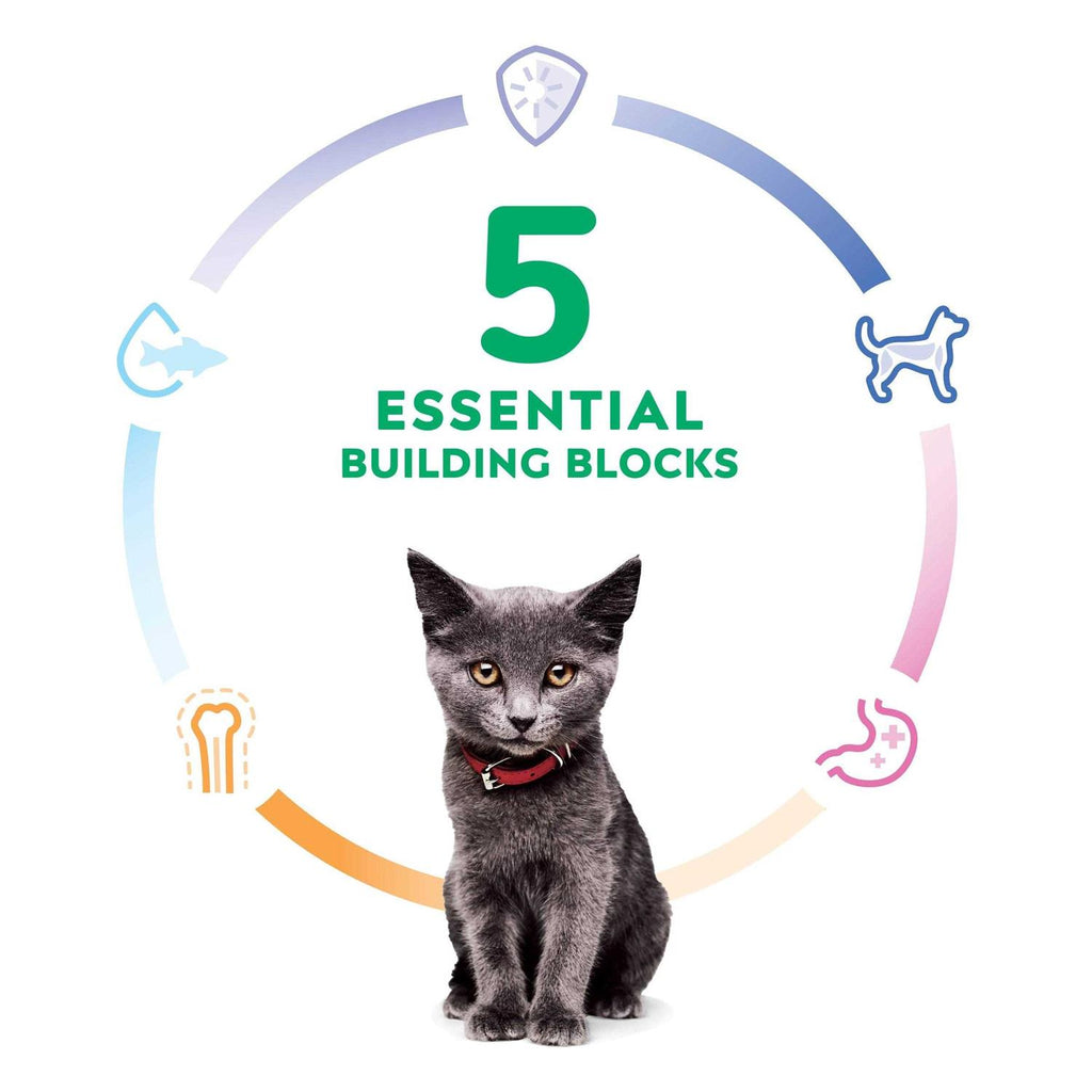 Indoor Kitten Dry Cat Food H7428