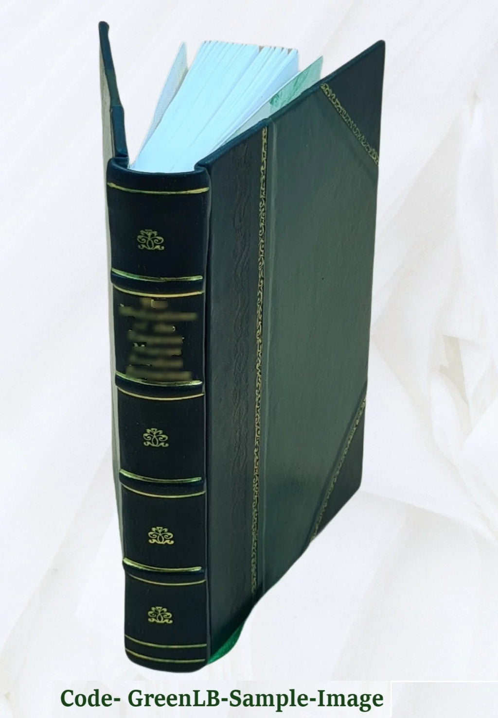 Leather Bound S239